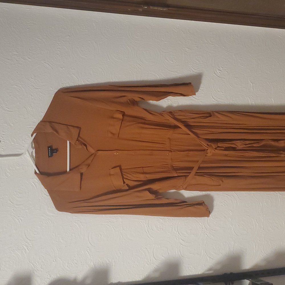 Burnt Orange Button-Up Dress